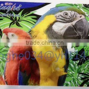 2015 New Small Size uv Flatbed Printer thumbnail-6