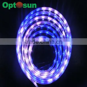 12v Flexible Color Changing Led Ribbon thumbnail-1