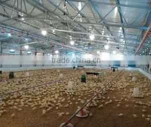 Feeding Pan Chicken Broiler Equipment Chicken Farm thumbnail-3