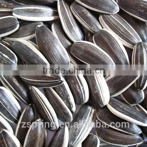 BLACK WITH WHITE STRIP SUNFLOWER SEEDS thumbnail-3