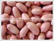 Wholesale Roasted Red Skin Peanut thumbnail-1