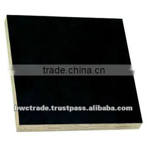 Black Poplar Marine Plywood thumbnail-1
