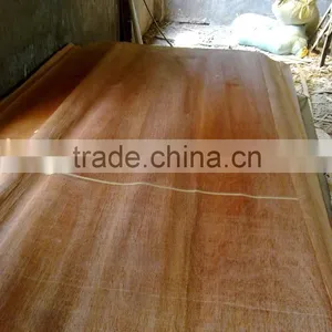 Keruing/Gurjan Veneer thumbnail-5