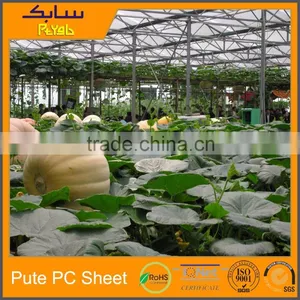 Project Agriculture Green House Roofing Panels Greenhouse Twin-wall Plastic thumbnail-3