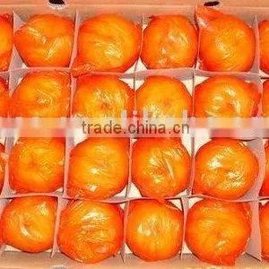 Mandarine Orange thumbnail-1
