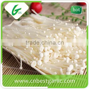 Dried Fresh Enoki Mushroom thumbnail-4