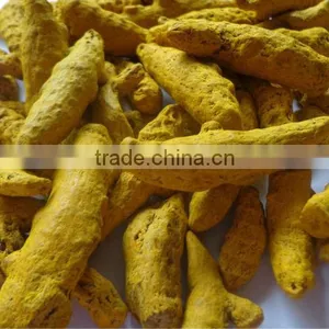 Turmeric thumbnail-1