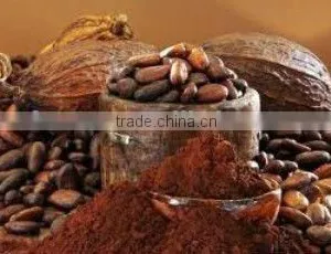 5-9% Low Fat, Alkalized Cocoa Powder thumbnail-1