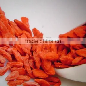 Goji Berry for Medicines thumbnail-4
