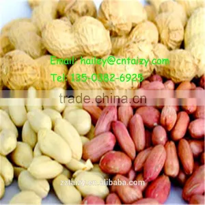 Roasted Peanut Peeling Machine-groundnut Peeling Machine thumbnail-4