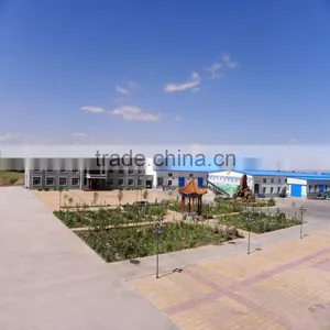 Red & Black Watermelon Seeds for Sale 2015 New Crop thumbnail-6