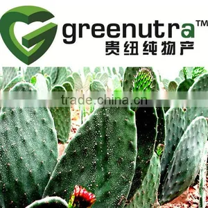 GMP Manufacturer Supply Cactus Extract thumbnail-2