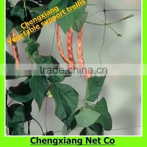 Plant Support Trellis thumbnail-1