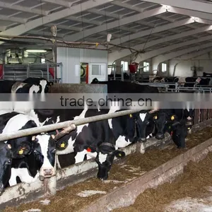 Electric Motor Feed Mixer Wagon For Farms/VERTICAL FEED MIXER/TMR FEED MIXER thumbnail-4