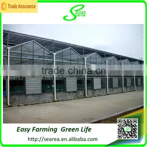 Modern Agricultural Equipments Glass Commercial Greenhouses thumbnail-2
