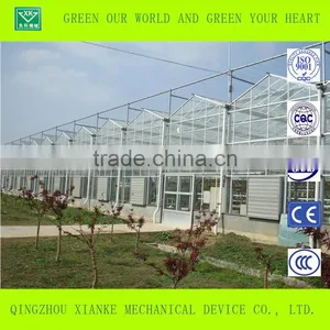 Easily Assembled Agricultural Greenhouse thumbnail-2