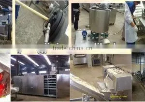 2014 Automatic Core Filling Snack Food Equipment thumbnail-1