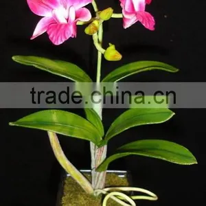 Fabric Flower thumbnail-1