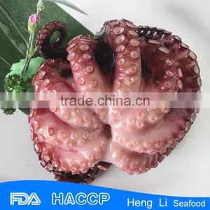 HL089 Healthy Fresh Octopus Wholesale thumbnail-1