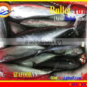 FROZEN BULLET TUNA thumbnail-1