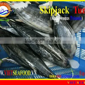 FROZEN SKIPJACK TUNA WHOLE ROUND thumbnail-1