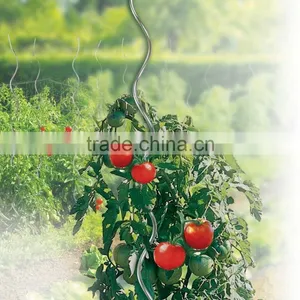 Galvanized Growing Tomato Spiral for Climbing Plant thumbnail-1