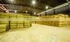 COCONUT FIBER - HIGH QUALITY thumbnail-1