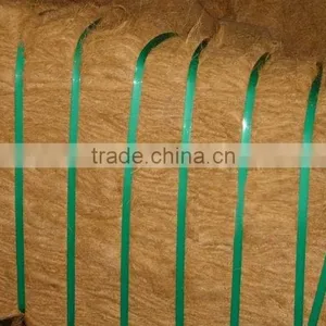Coconut Fiber thumbnail-4