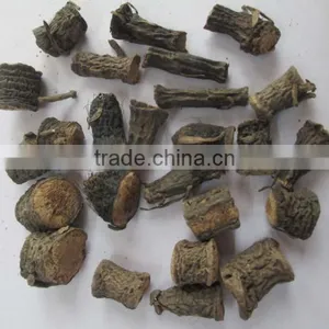 Dry Curouligo Orchioides thumbnail-1