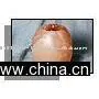 Candle thumbnail-1