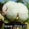 Shankar 6 Cotton thumbnail-1