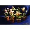 Small Clay Flower thumbnail-1