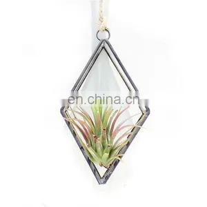Terrarium Geometric Glass Terrarium Wholesale Rhombus With Ring thumbnail-2