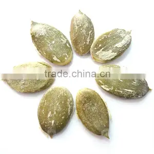 Organic Pumpkin Kernel thumbnail-1