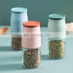 Wholesale 2021 New Arrival Custom Logo Modern 100ml Glass Onion Manual Pepper Grinder thumbnail-1