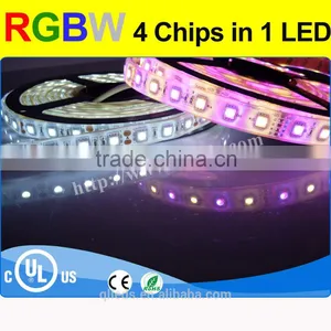 Assessed Supplier Led Strips Lighting Rgbw thumbnail-1