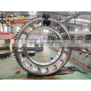 LYHGB Large Diameter Girth Gear Customized Large Size Ring Gear thumbnail-1