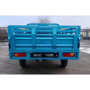 60-72V 1000W Super Motor Electric Pedicab Carrier Delivery Tricycle 3 Wheel Motorcycle thumbnail-4