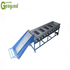 3 Ton Onion Garlic Sorting and Grading Machine thumbnail-3