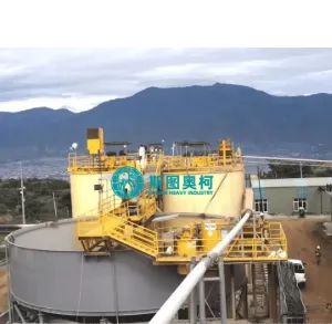 Gold Cip Plant for Bolivia Mine