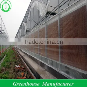 200 Micro UV Film Greenhouse With Cooling Pad And Fan thumbnail-1