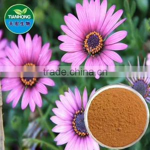 Herbal Echinacea Purpurea Extract Phenols thumbnail-1