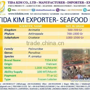 FROZEN WHOLE BABY OCTOPUS VULGARIS CLEANED BABAY OCTOPUS SHRIMP TIDA KIM LOPSTER VIETNAM FISH FILLETS BASA FRESH ALIVE NATURAL thumbnail-2