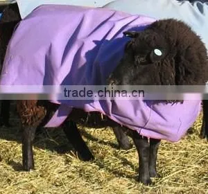 Breathable Sheep Coat thumbnail-3