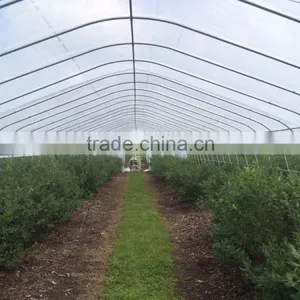 Tunnel Plastic Greenhouse thumbnail-3