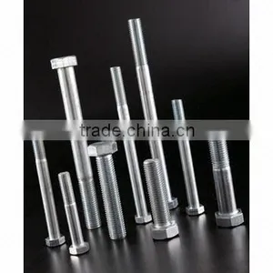 Stainless Steel Hex Bolt thumbnail-1