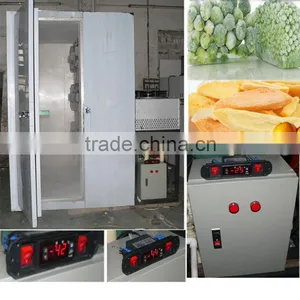 Blast Freezer for Vegetables Freezing at -45 Degree C thumbnail-1