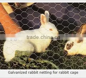 Hexagonal Woven Twist Wire Mesh - Galvanized and PVC Coated Chicken Mesh Price thumbnail-4