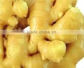 Dry Ginger /Fresh Dried Ginger thumbnail-1