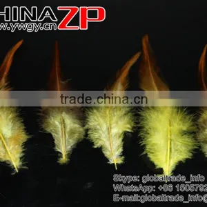 Gold Supplier CHINAZP Wholesale Top Selling Decorative Dyed Yellow Chicken Rooster Saddle Feathers for Sale thumbnail-2